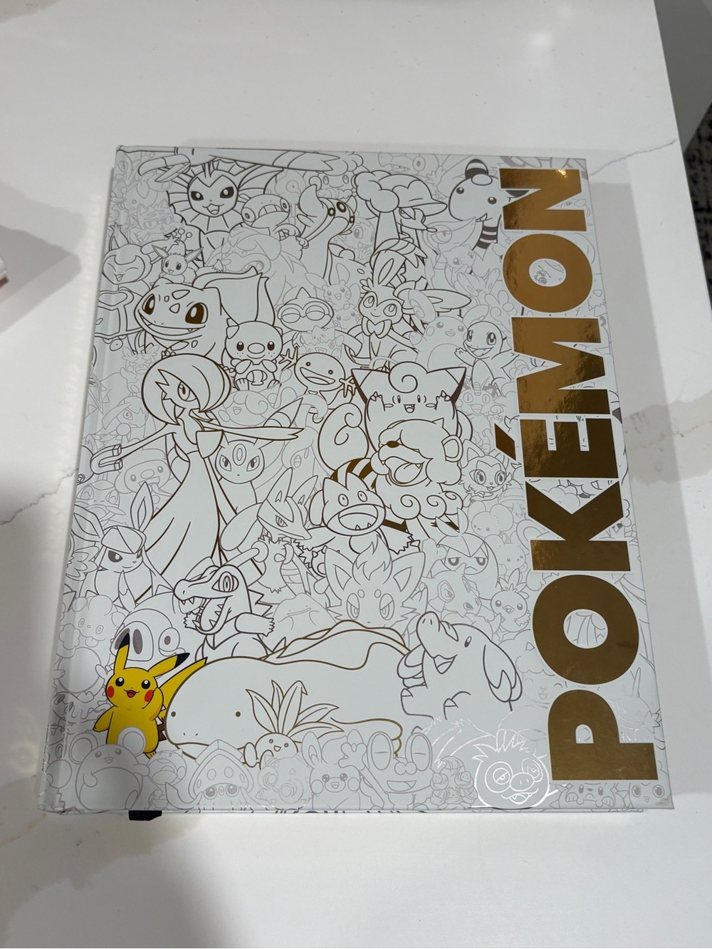 Pokémon Deluxe Character Guide - Damaged